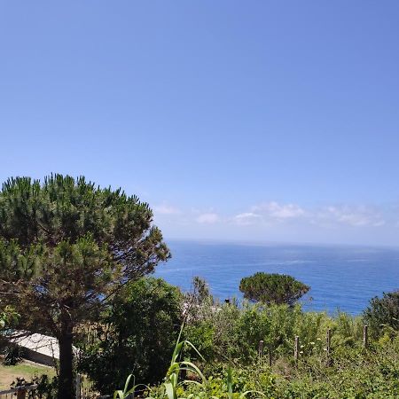 Ferienwohnung Casa De Somma Forio di Ischia Exterior foto