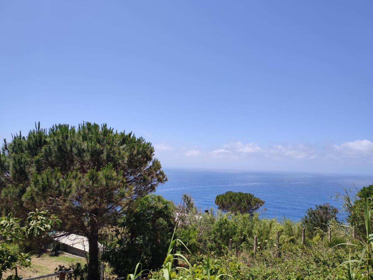Ferienwohnung Casa De Somma Forio di Ischia Exterior foto